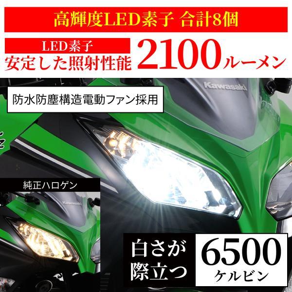 コレクション COLLECTION 4 DAYTONA（デイトナ） 在庫有り LEDヘッドランプバルブ プレシャス