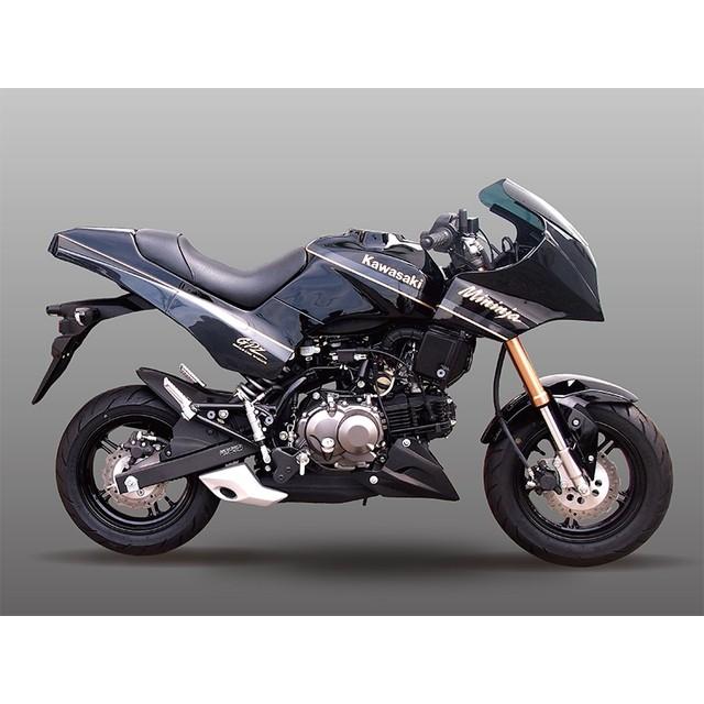 DOREMI COLLECTION（ドレミコレクション） Z125PRO ミニンジャ外装