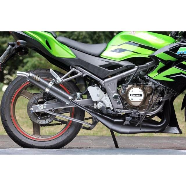 HONDA NSR150SP SP忠男JACALチャンバー JMCA認定耐熱塗装 Webike | SP忠男 スペシャルパーツ忠男 エスピータダオ ジャッカル