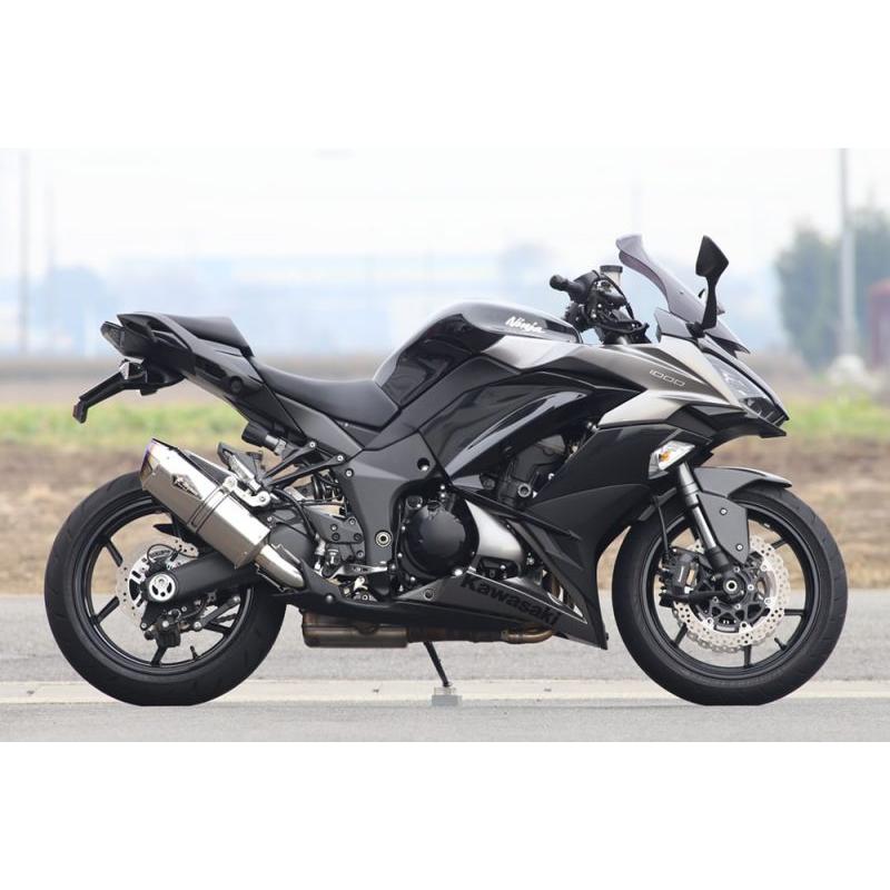 こばやんさん専用　r’s gear アールズギア ninja1000 ワイバン r's gear（アールズギア） Kawasakiニンジャ1000 (Z1000SX) ワイバン