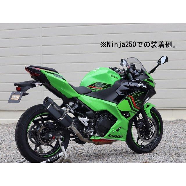 WR'S（ダブルアールズ） Z250 SS-OVAL F- B LACK TITAN WR'S SF4275JM