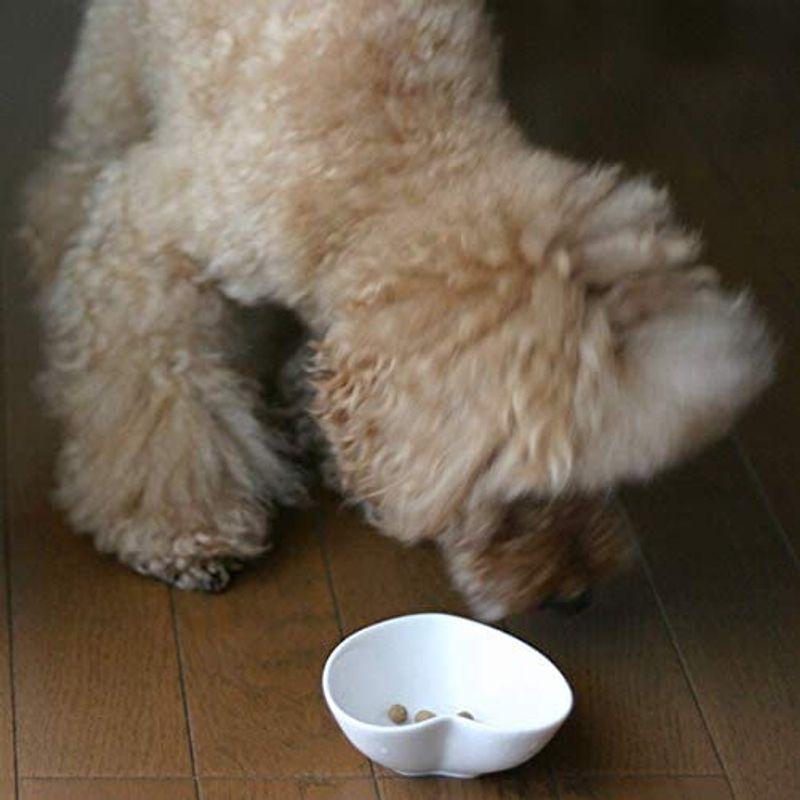 ジロ吉ごはんだよ オールステージ 標準 ポーク1kg×3袋まとめ買いセット 犬 ドライフード オールステージ 標準 ポーク1kg×3袋まとめ買いセット 犬 ドライフード