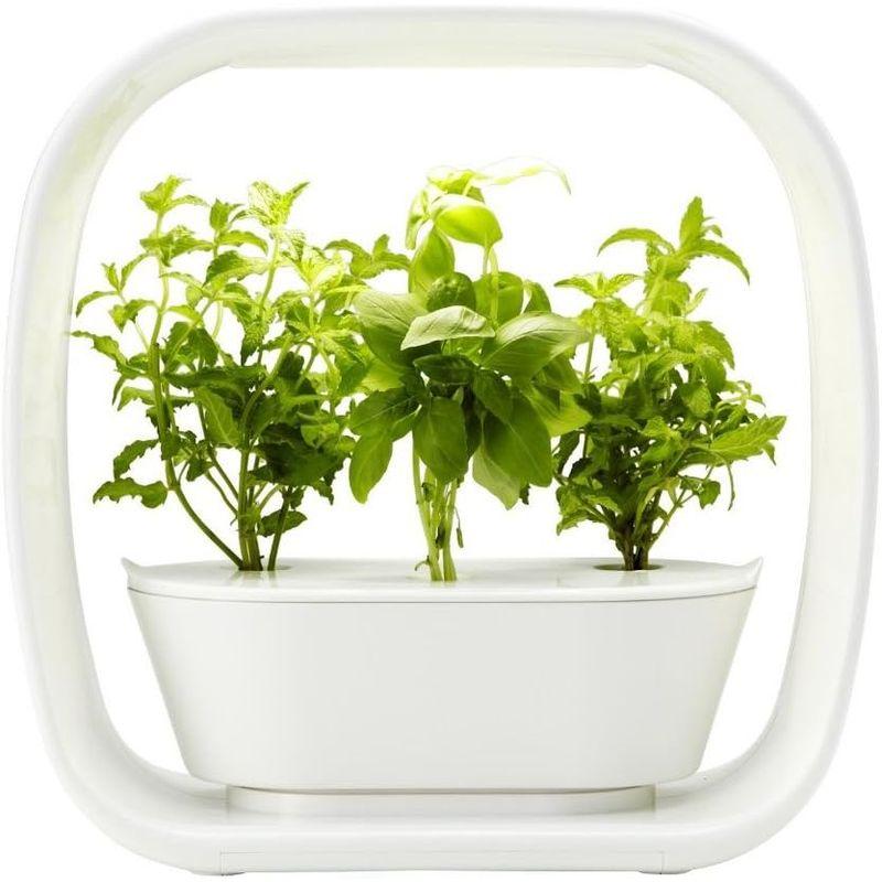 LED照明付水耕栽培キット VEGUNI(ベジユニ) 日本製 W336×D150×H336mm VEGUNI ベジユニ 日本製 W336×D150×H336mm