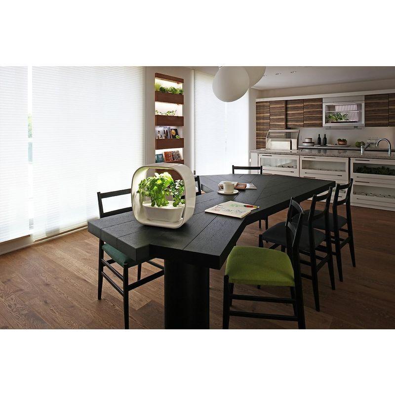 LED照明付水耕栽培キット VEGUNI(ベジユニ) 日本製 W336×D150×H336mm VEGUNI ベジユニ 日本製 W336×D150×H336mm