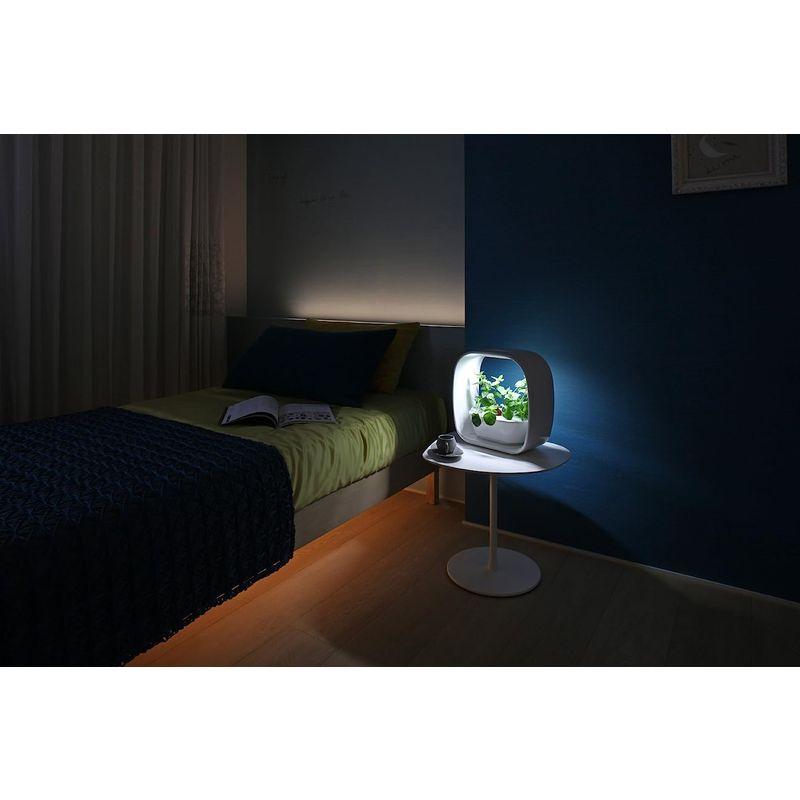 LED照明付水耕栽培キット VEGUNI(ベジユニ) 日本製 W336×D150×H336mm VEGUNI ベジユニ 日本製 W336×D150×H336mm