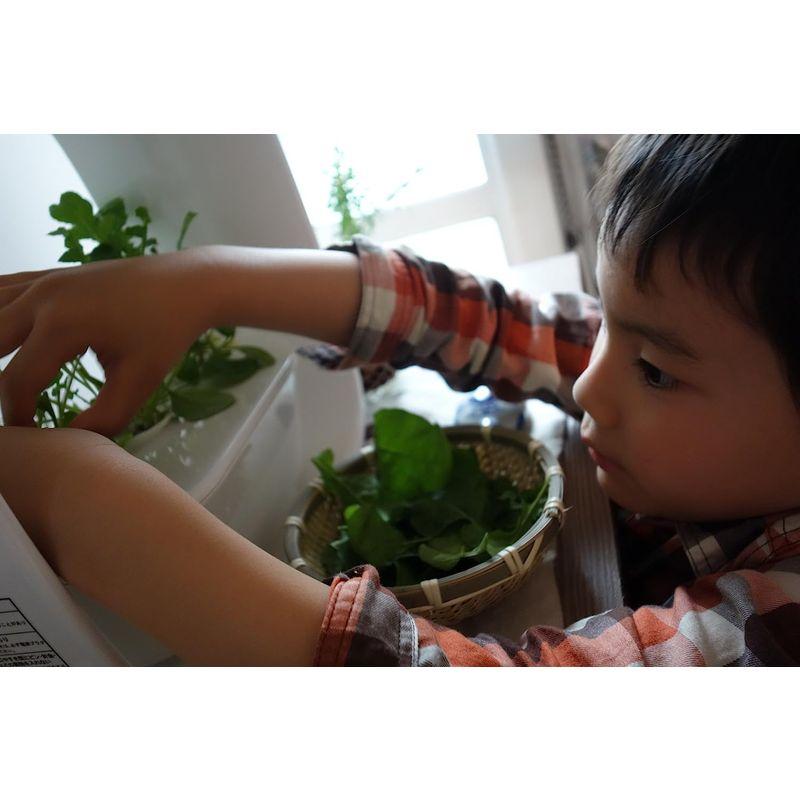 LED照明付水耕栽培キット VEGUNI(ベジユニ) 日本製 W336×D150×H336mm VEGUNI ベジユニ 日本製 W336×D150×H336mm