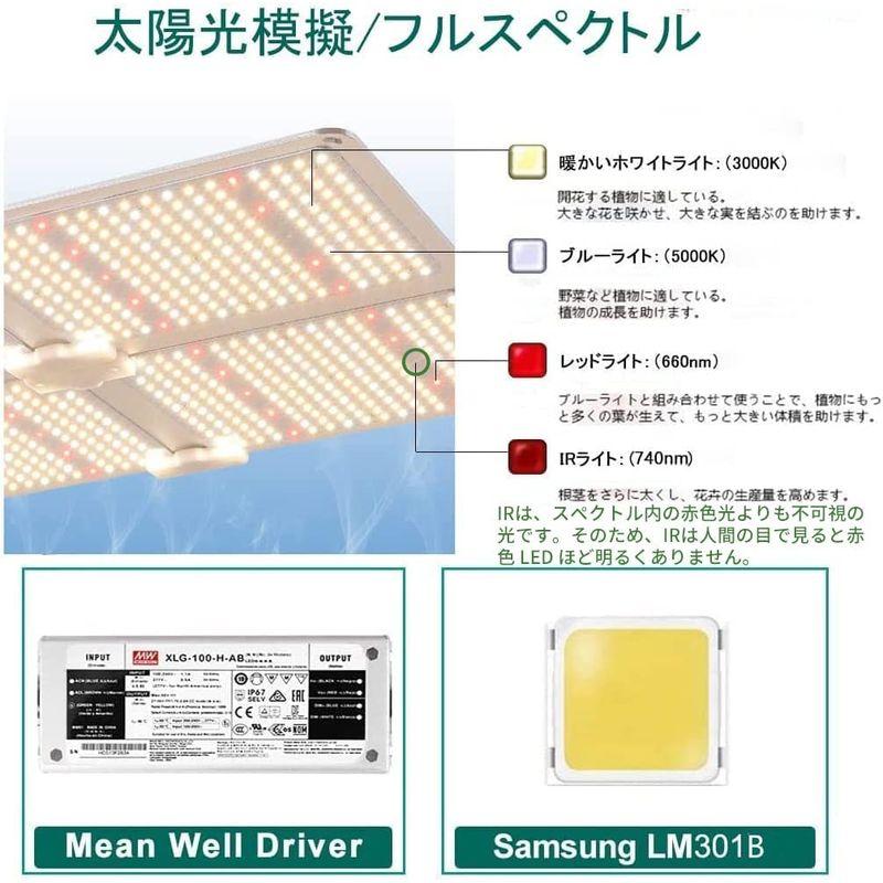 Aokyoung 植物育成ライト LED光合成ライト 4000W SAMSUNG LM301Bライトチップ フルスペクトル 光補足 Mean - 6