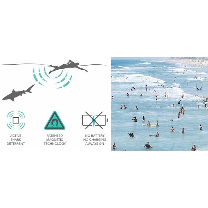 シャークバンズ 2 SHARKBANZ サメ避けバンド 磁気 フリーサイズ 足首用