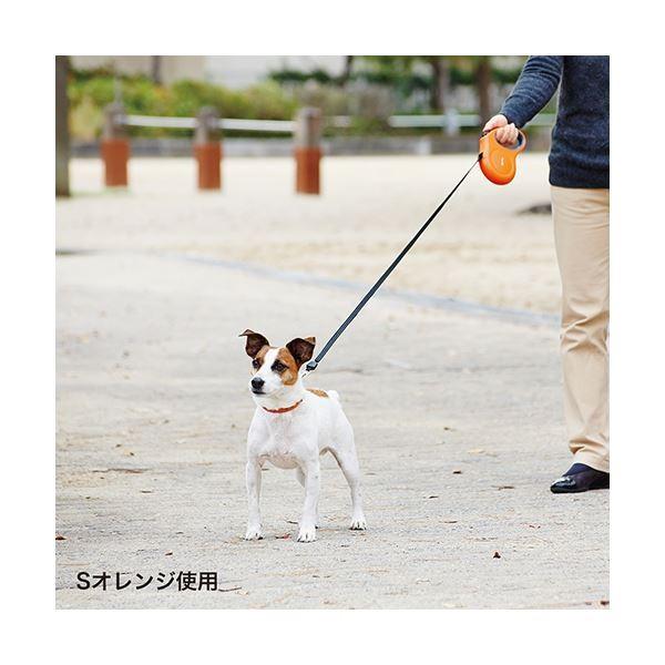 （まとめ）ReeL LeaD ADvance M(ペット用品) オレンジ〔×4セット〕 まとめ ReeL LeaD ADvance ペット用品