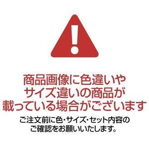 （まとめ）シヤチハタ 手形スタンプパッドパームカラーズ 布用 きいろ HPF-A/H-Y 1個〔×3セット〕｜oceaniaclub｜06