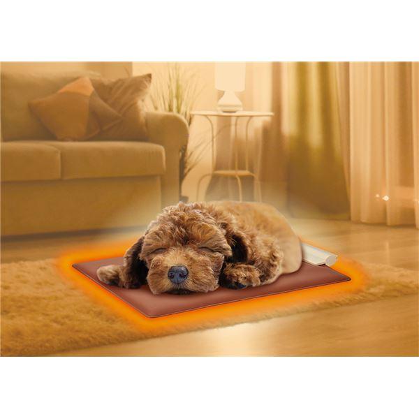 管理機 遠赤外線やわらかホッとヒーターM (ペット住関連用品/冷暖房器具