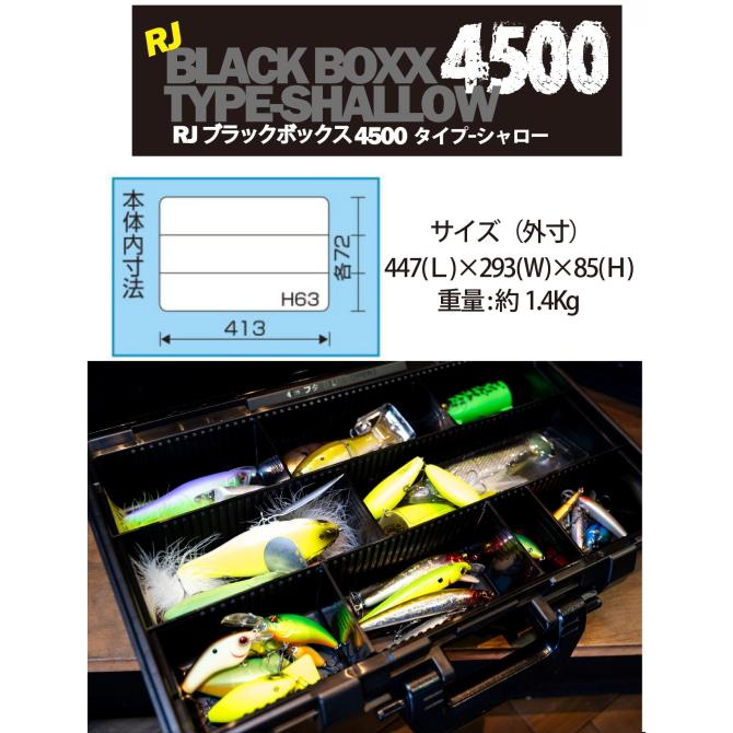 RAID JAPAN（レイドジャパン） 【ご予約商品・納期10月予定】レイド