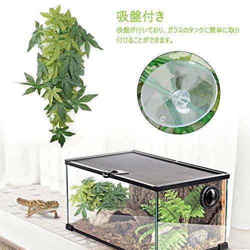 吸盤付き 爬虫類 人工植物 爬虫類 つる 爬虫類テラリウム オーナメント装飾 葉 植物 装飾 緑の偽の葉 両生類 爬虫類 飼育ケース内装 40cm S 1110 Oceans Asa 通販 Yahoo ショッピング