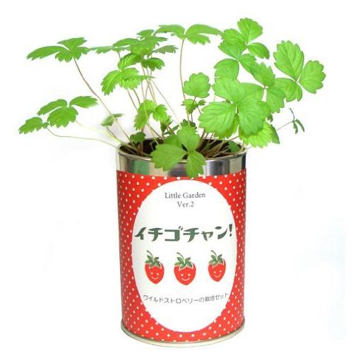 激安特価 ナガクラ リトルガーデンver 2 イチゴチャン ワイルドストロベリー Lgl 17