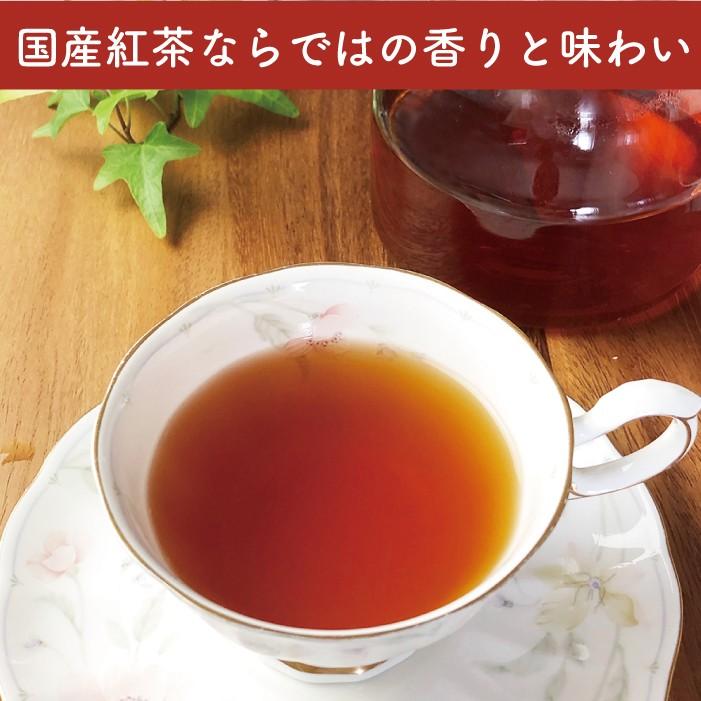 嬉野紅茶 16g（2ｇ×8袋）｜ocha-midorien｜04