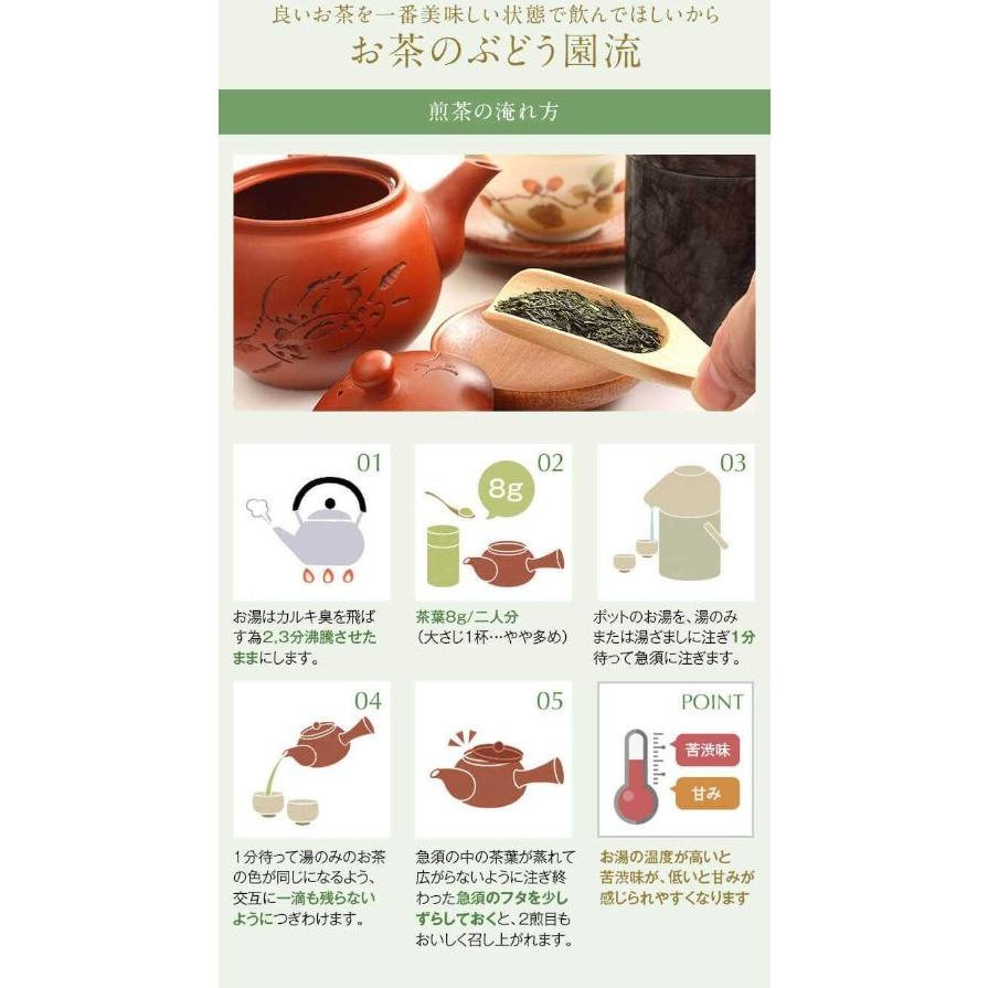 新茶 お茶 茶 知覧茶 ちらん茶 送料無料 お茶のぶどう園 ちらん茶 特上 100g × 2本 セット 知覧 日本茶 鹿児島茶 煎茶 緑茶 tea プレゼント 贈り物 お歳暮｜ocha-no-budouen｜07