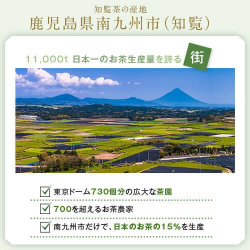 お茶 茶 知覧茶 ちらん茶 送料無料 お茶のぶどう園 知覧茶 白 100g × 3本 セット 知覧 日本茶 鹿児島茶 煎茶 緑茶 茶葉 tea プレゼント 贈り物 お歳暮 土産｜ocha-no-budouen｜06