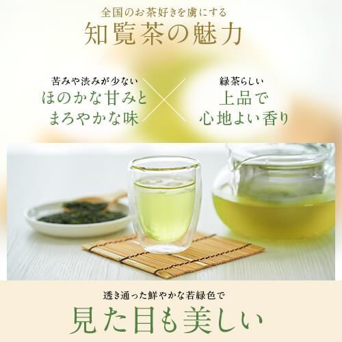 お茶 茶 知覧茶 ちらん茶 送料無料 お茶のぶどう園 知覧茶緑 100g × 3本 セット 知覧 ちらん 鹿児島 鹿児島茶 ギフト プレゼント 贈り物 お中元 限定｜ocha-no-budouen｜04