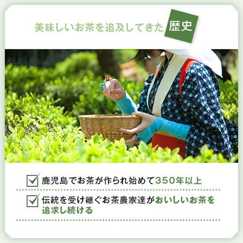 お茶 茶 知覧茶 ちらん茶 送料無料 お茶のぶどう園 知覧茶緑 100g × 3本 セット 知覧 ちらん 鹿児島 鹿児島茶 ギフト プレゼント 贈り物 お中元 限定｜ocha-no-budouen｜08