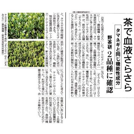 さえみどり　90ｇ/極上煎茶/新茶/煎茶/茶葉/緑茶/日本茶/お茶 |  | 05