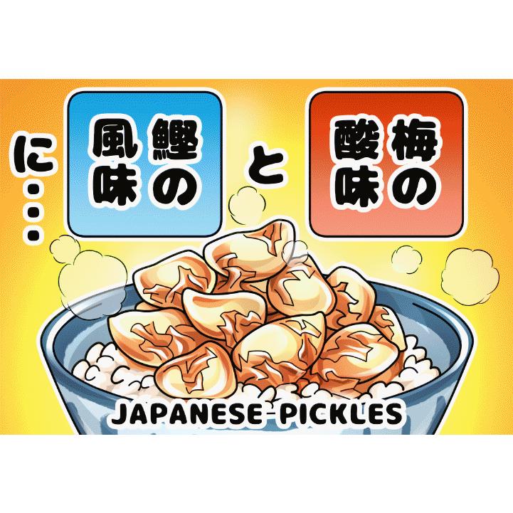 静岡市　梅辰株式会社　梅にんにく1kg　500g×2袋　紀州南高梅と国産かつお節で熟成　かつお梅にんにく　匂わない 漬物　パリパリ食感　うめしん　オリジナル |  | 10