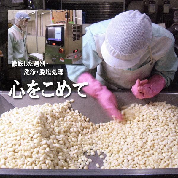 無臭にんにく　梅辰株式会社/静岡市　徳用　うめしん梅にんにく1kg(500g×2袋）｜ocha｜05