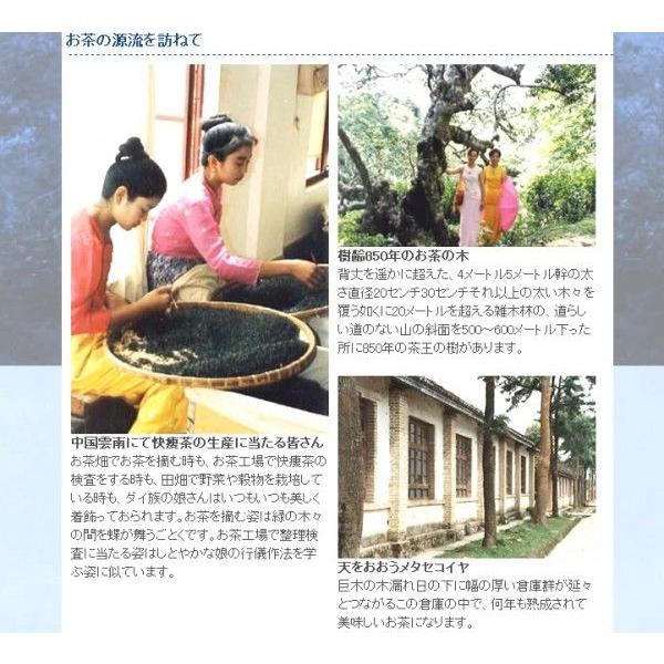 快痩茶　400g 箱　アルカリ度64　プーアル茶　茶葉 プアール茶　プーアール茶 黒茶 中国雲南省産　ダイエット茶 飲料  茶葉  東西物産株式会社　群馬県 |  | 04