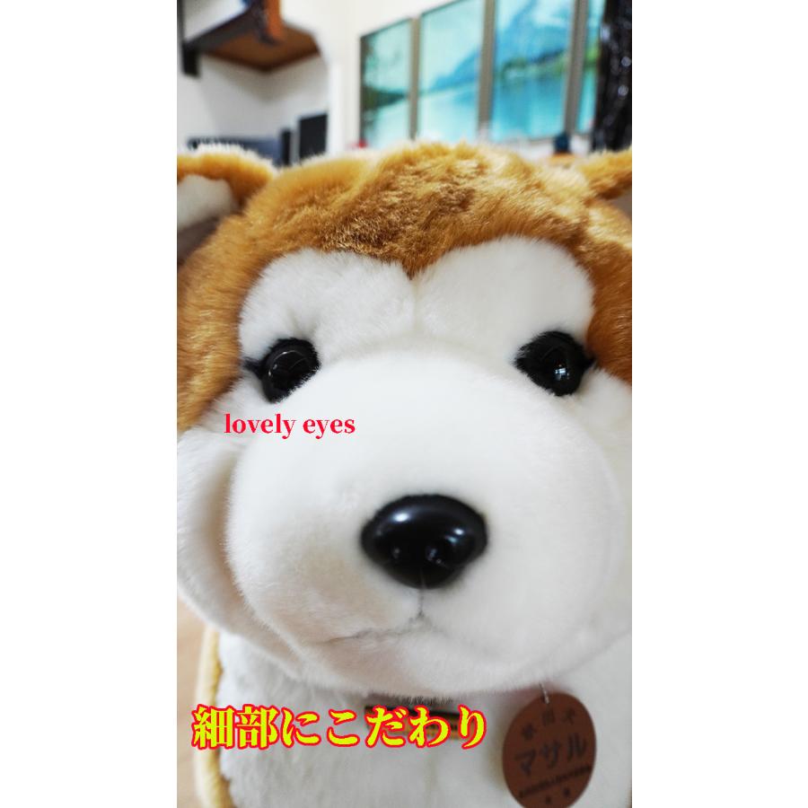 即日出荷】益社団法人秋田犬保存会 秋田犬 マサル ぬいぐるみ 特大