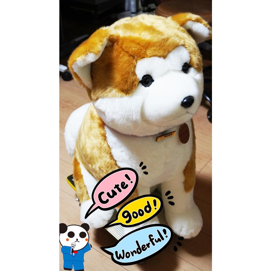 即日出荷】益社団法人秋田犬保存会 秋田犬 マサル ぬいぐるみ 特大