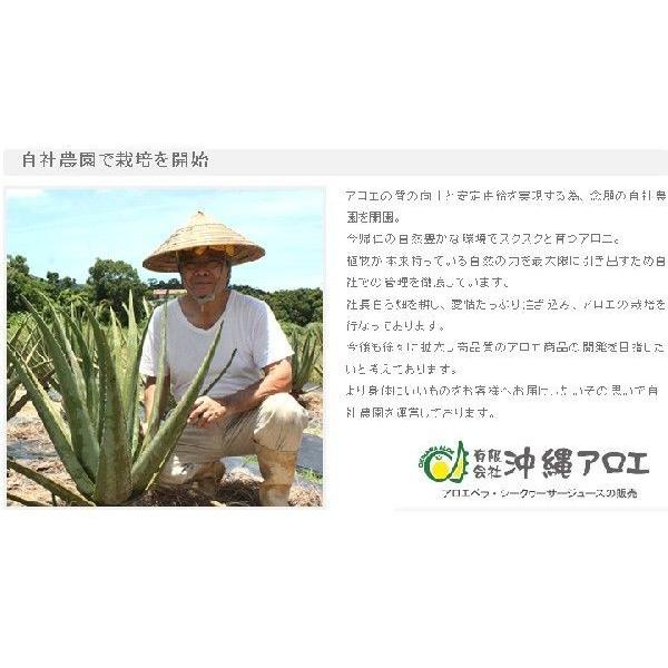 沖縄アロエベラジュース 1,000ml×2本 徳用 沖縄産アロエベラ 葉肉ゲル