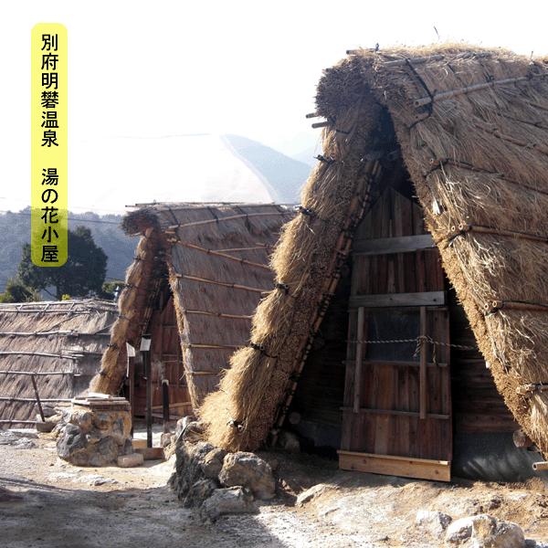 ヤングビーナス 薬用 入浴剤 Sv 2,300g×2袋 ポリ容器 ヤングビーナス