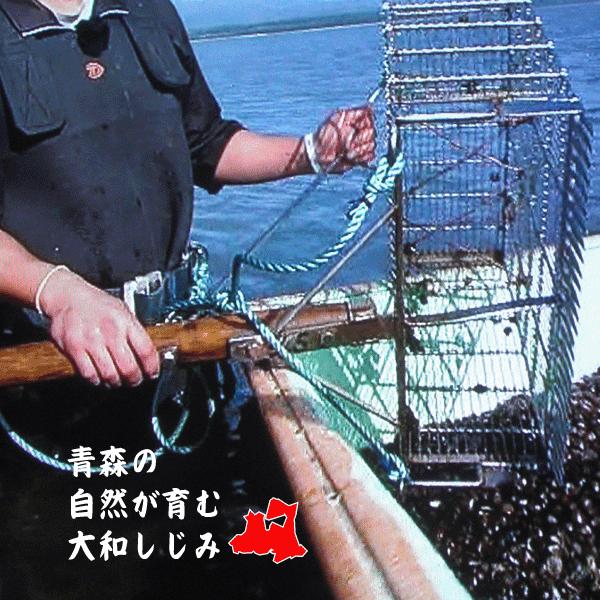 青森県産　特大　大和しじみ汁  20食セット　徳用　しじみちゃん本舗株式会社　 常温保存  　保存食　青森市  蜆  常温保存 個包装 殻付きしじみ 味噌 みそ | しじみちゃん本舗 | 02