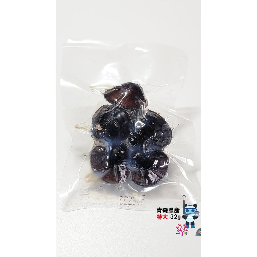 青森県産　特大　大和しじみ汁  30食セット　徳用　しじみちゃん本舗株式会社　 常温保存  　保存食　青森市  蜆  常温保存 個包装 殻付きしじみ 味噌 みそ | しじみちゃん本舗 | 14