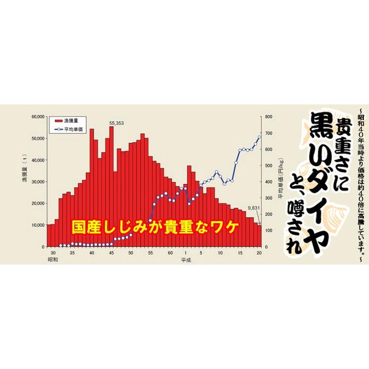 青森県産　特大　大和しじみ汁  30食セット　徳用　しじみちゃん本舗株式会社　 常温保存  　保存食　青森市  蜆  常温保存 個包装 殻付きしじみ 味噌 みそ | しじみちゃん本舗 | 06