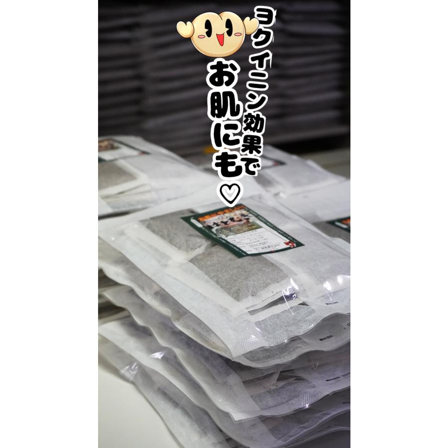 発売50年の信頼 無農薬栽培 外皮付き 10g×30包×2袋 大一のハトムギ茶 はとむぎ茶 いつでもチャック　大容量　 賞味期限12ヵ月 常温 |  | 02