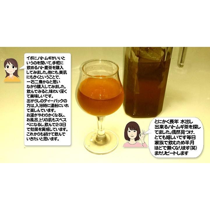 発売50年の信頼 無農薬栽培 外皮付き 10g×60包。大一のハトムギ茶 はとむぎ茶 いつでもチャック　大容量　 賞味期限12ヵ月 常温 |  | 10