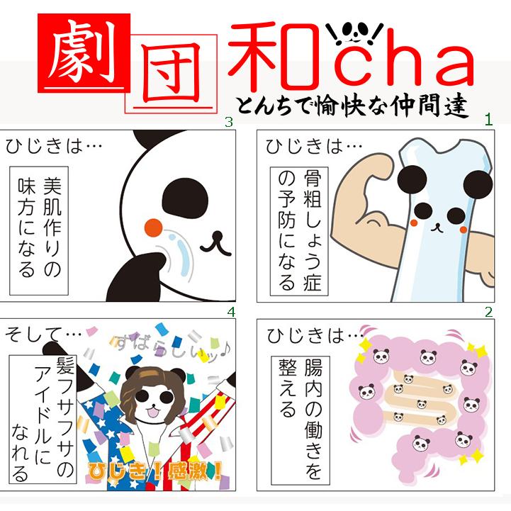 代引き手数料無料 送料無料 房州芽ひじき0g チャック付き袋 千葉県南房総産ヒジキ 香り豊かな100 房州ひじき お 茶ポイント3点 Wantannas Go Id