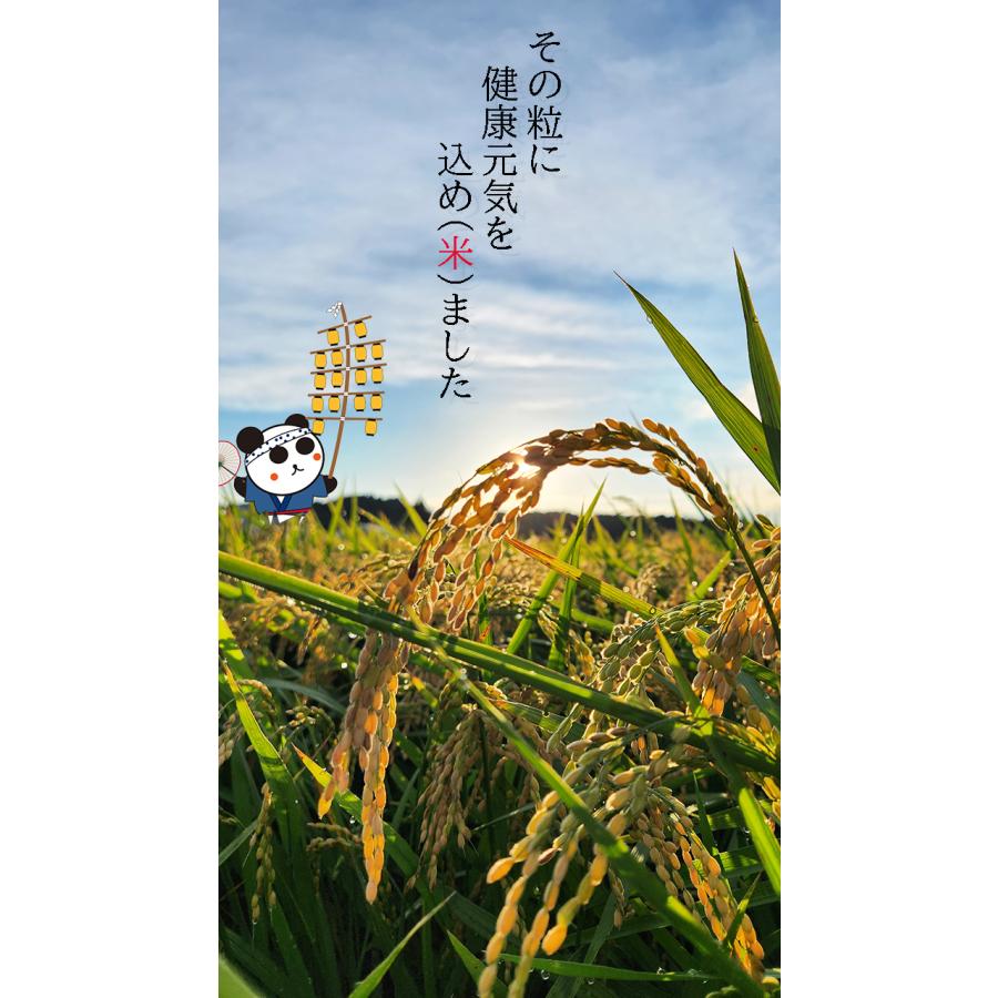 徳用セット 籾発芽玄米 有機米 芽吹き小町1kg×5袋 粋き活き農場/秋田県大潟村 |  | 11