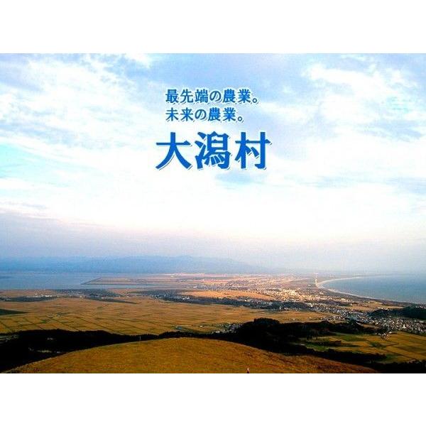 籾発芽玄米 有機米 芽吹き小町1kg袋 粋き活き農場/秋田県大潟村 |  | 13