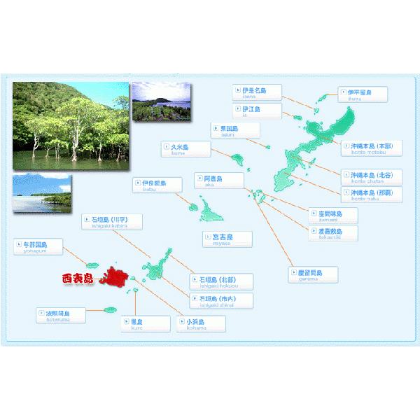 純黒糖　特等　かちわり800g　西表黒糖　製造：西表糖業株式会社　黒砂糖　黒糖　純黒糖　保存食 いつでもチャック　大容量｜ocha｜03