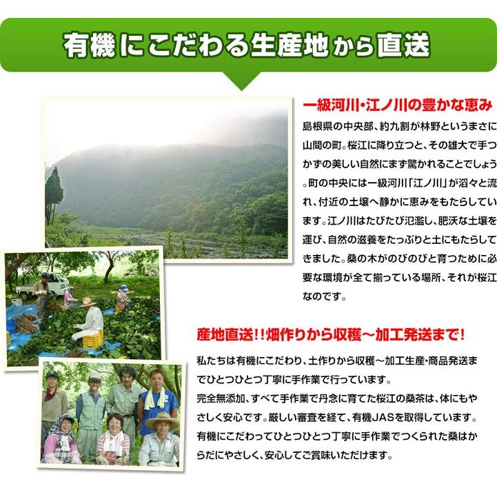 送料無料 島根県産 徳用 特価品コーナー 有機桑茶90g 2 5g 36包 5袋 桑の葉茶 チャック付き袋 茶ポイント24点 葉酸 お 島根県桜江町 桑葉生産組合