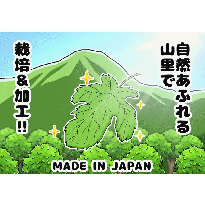 島根有機ファーム 徳用・有機桑茶90g 2.5g×36包 チャック付き袋 島根県
