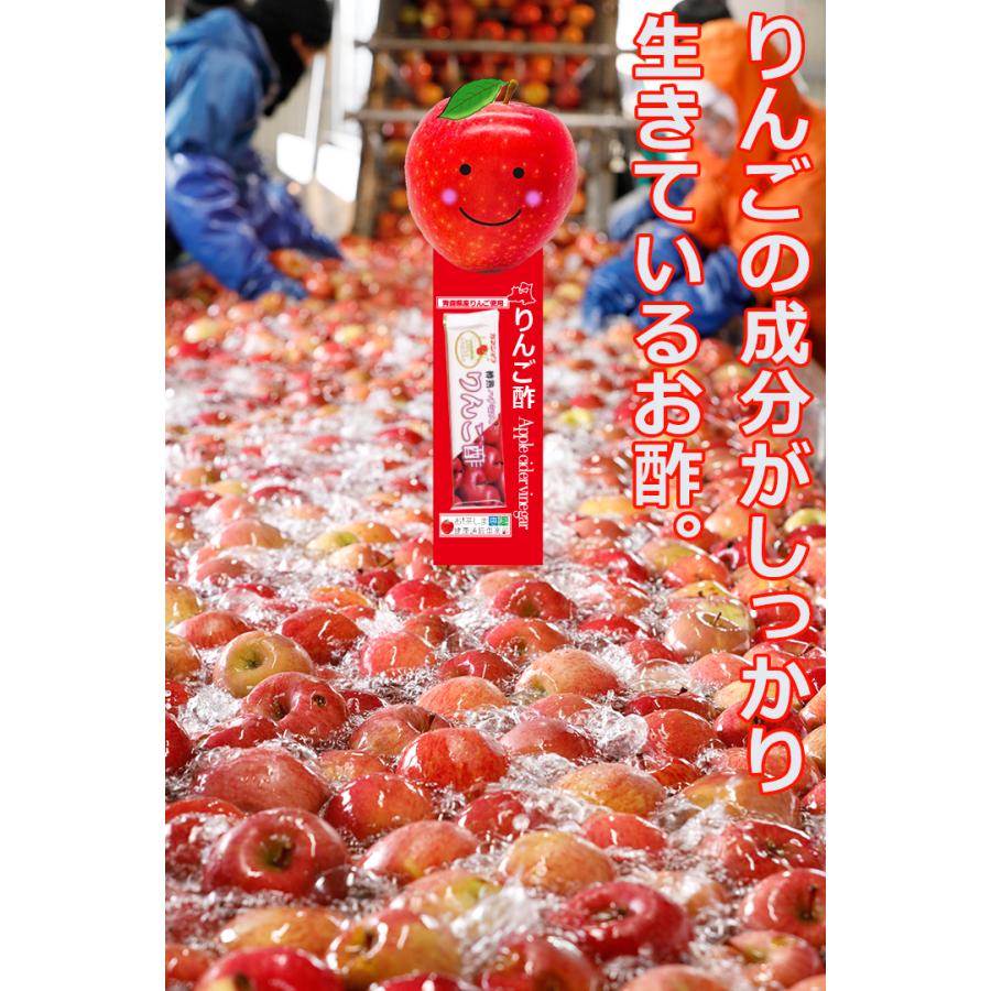 カネショウ ハチミツ入りんご酢 スティックタイプ 20mL×100本 青森県