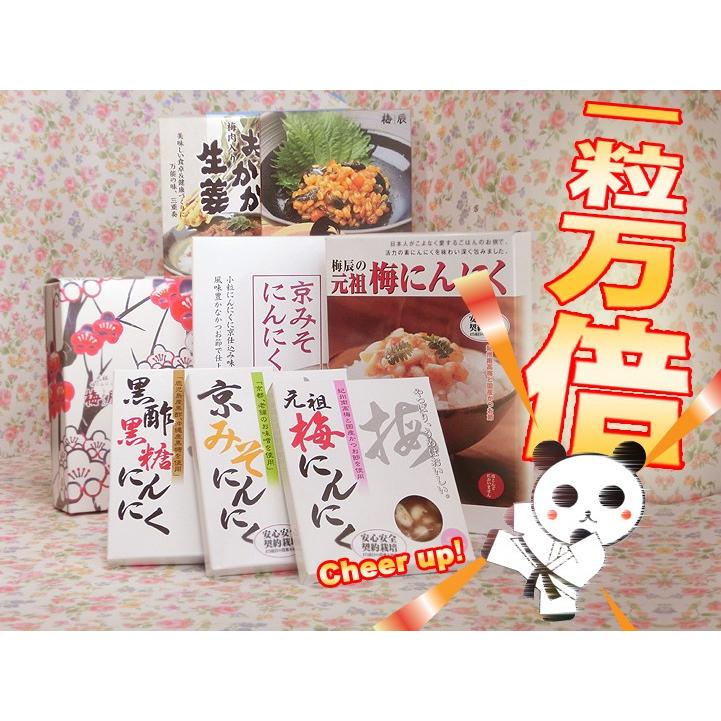 返品交換不可 北海道 梅辰 梅にんにく 640ｇ ニンニク ウメ 無臭 Materialworldblog Com