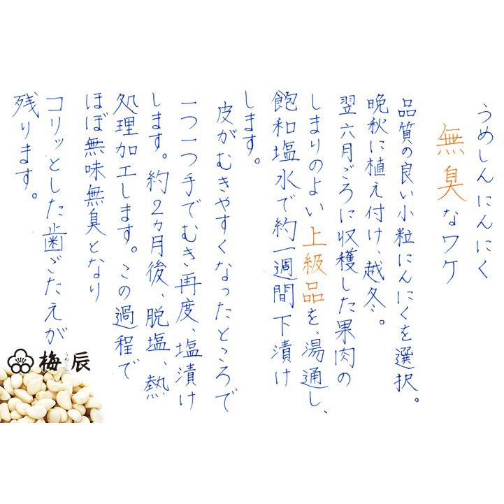 返品交換不可 北海道 梅辰 梅にんにく 640ｇ ニンニク ウメ 無臭 Materialworldblog Com
