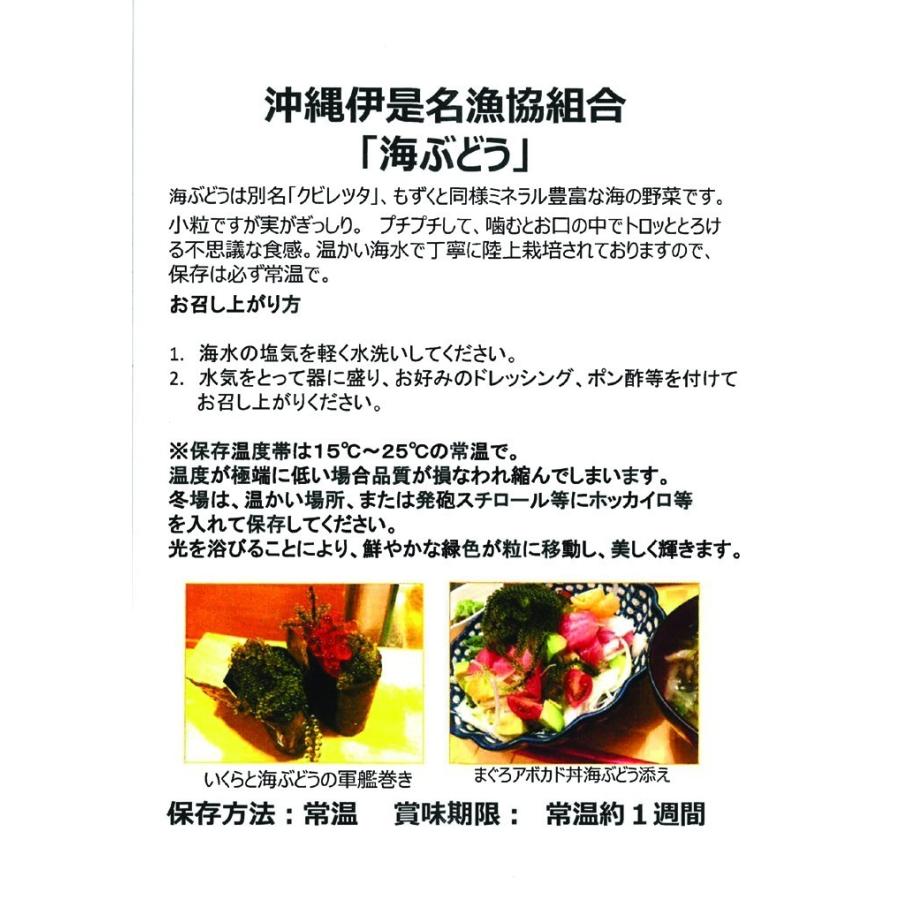 送料無料 生 沖縄県 伊是名島特産 海ぶどう 生 1kg 2箱 手摘み茎無し 伊是名漁業協同組合 うみぶどう グリーンキャビア Umibudou2 お 茶しま専科 健康通販倶楽部 通販 Yahoo ショッピング