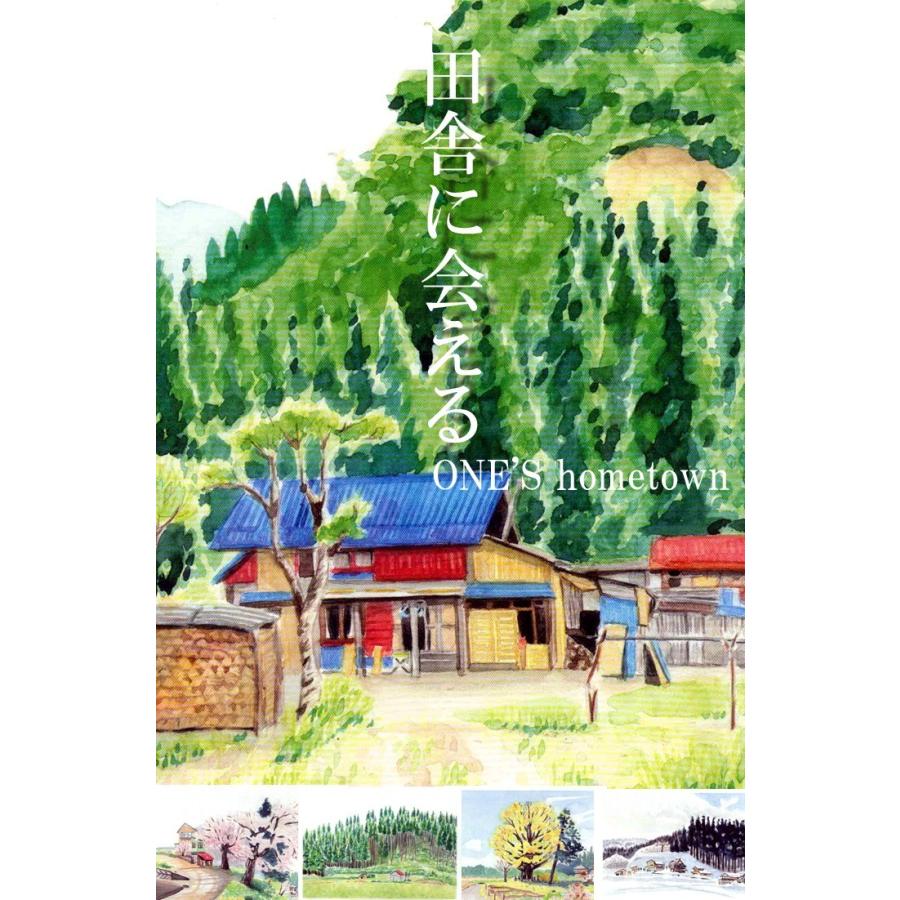 秋田県産 極太 干しぜんまい250g　秋田県産　天日干しぜんまい｜ocha｜04