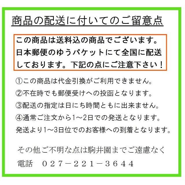 オーガニック お茶 粉末茶 有機 べにふうき 送料無料 駒井園 鹿児島産