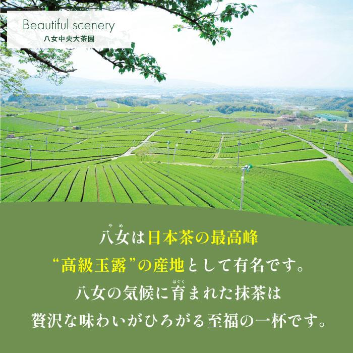 抹茶 抹茶缶 粉 パウダー 奥翠30g 抹茶 粉末 パウダー 日本茶  八女産 九州産 国産 日本茶  Ochamura matcha  Okumidori  Japanese green tea