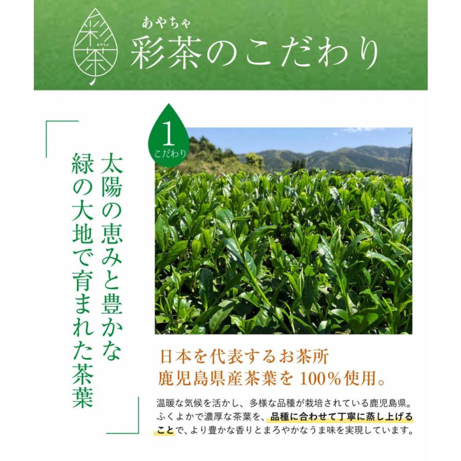 【LIFEDRINKオンラインストアで販売中】緑茶 彩茶-あやちゃ- お茶 500ml×24本 鹿児島県産茶葉使用 送料無料 ライフドリンクカンパニー LDC | ライフドリンクカンパニー | 03